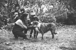 Fossil Creek Farm Animal Assisted Mental Health and Wellbeing Therapy